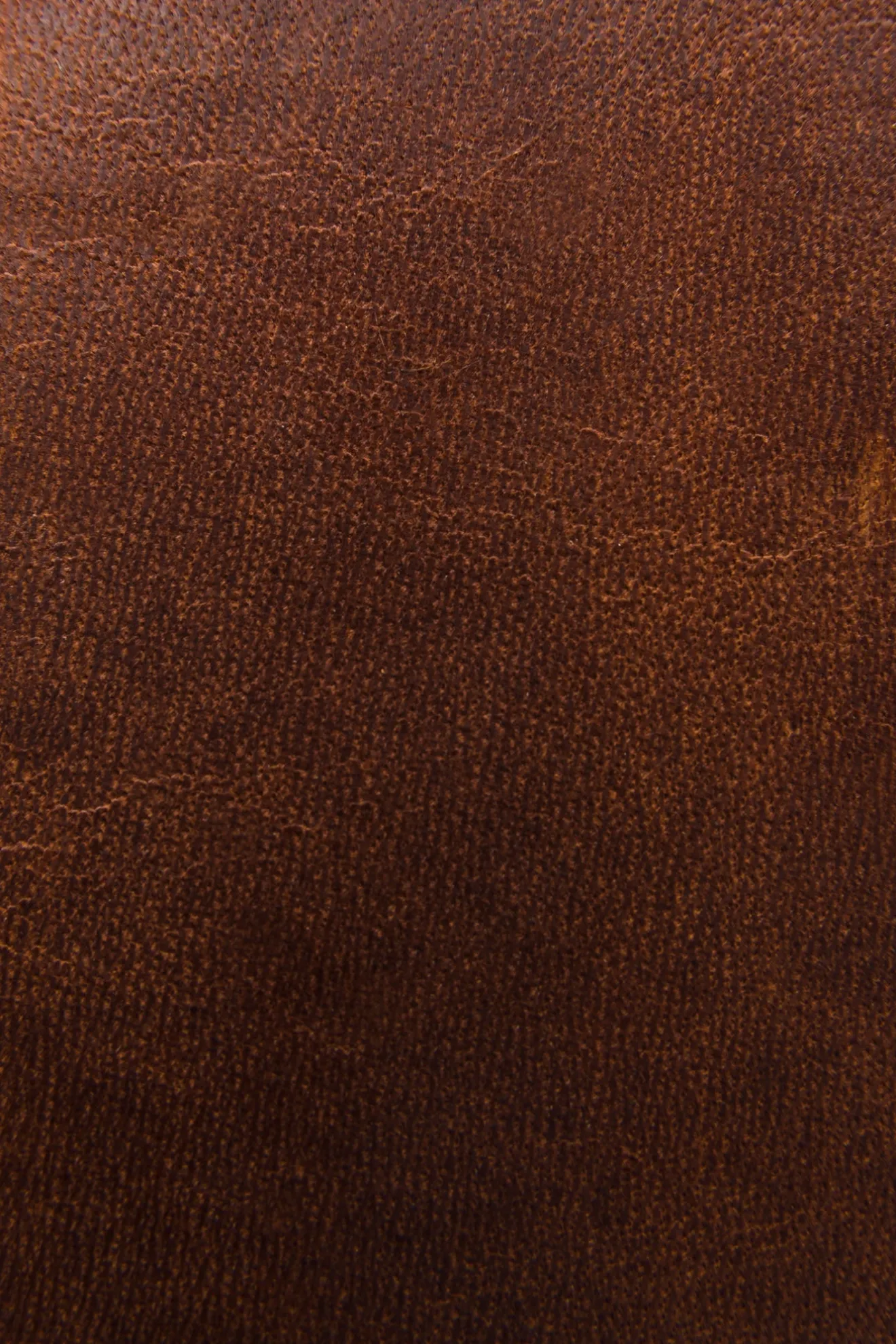 Logan Money Clip Card Case^Frye Clearance