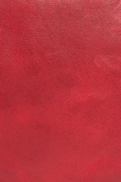 Melissa Medium Crossbody^Frye Best