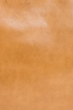 Melissa Swing Pack^Frye Online